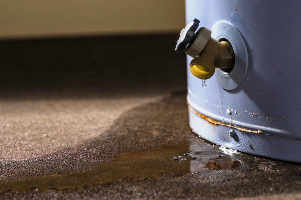 Best Flood damage cleanup  in Mill Valley, CA
