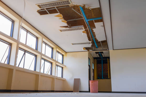 Best Flood damage cleanup  in Mill Valley, CA