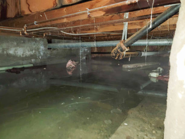 Best Water damage restoration insurance claims  in Mill Valley, CA