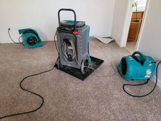 Trusted Mill Valley, CA Water damage restoration Experts