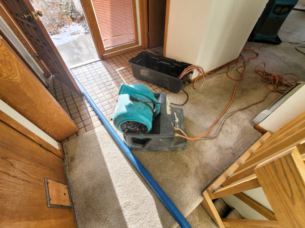 Water damage restoration mold remediation in Mill Valley, CA