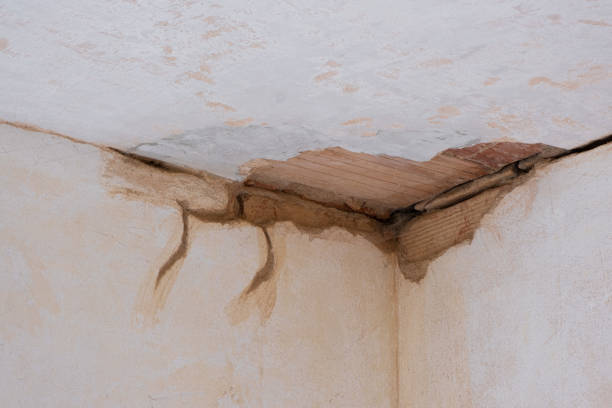 Best Water damage restoration near me  in Mill Valley, CA