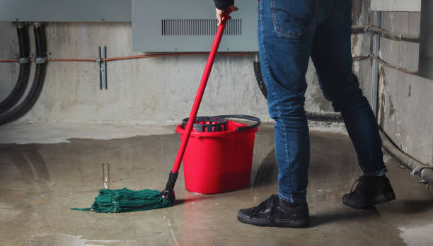 Best Basement water damage restoration  in Mill Valley, CA