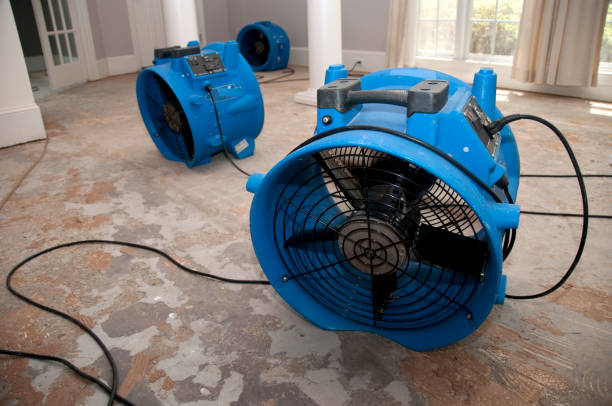 Best 24/7 water damage repair  in Mill Valley, CA