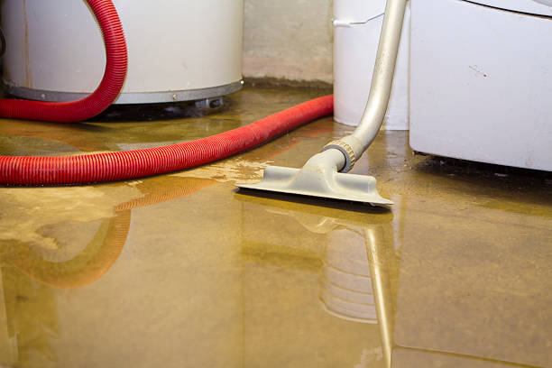 Best Water damage restoration mold remediation  in Mill Valley, CA