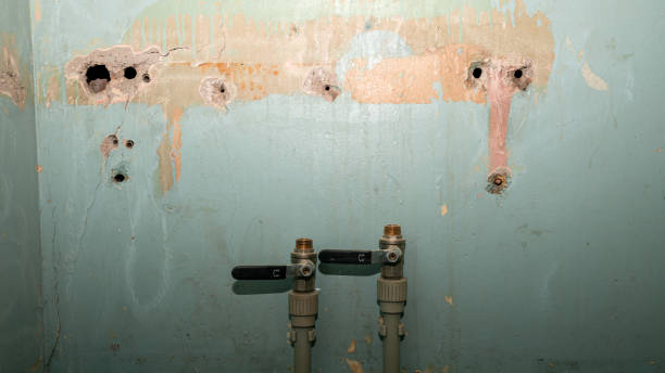 Sewage cleanup and water damage restoration in Mill Valley, CA