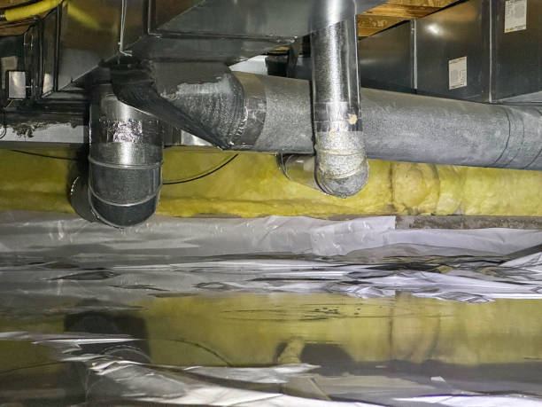 Best Water damage contractors near me  in Mill Valley, CA