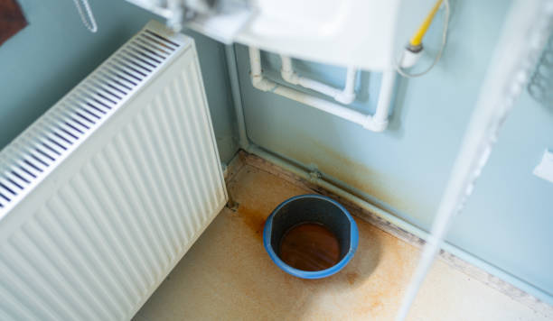 Best Local water damage restoration  in Mill Valley, CA