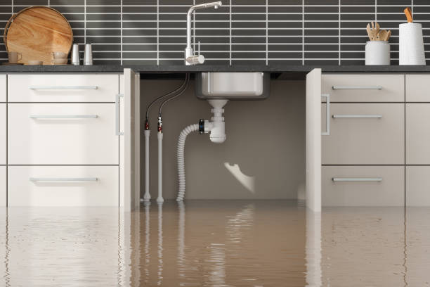 Best Ceiling water damage repair  in Mill Valley, CA