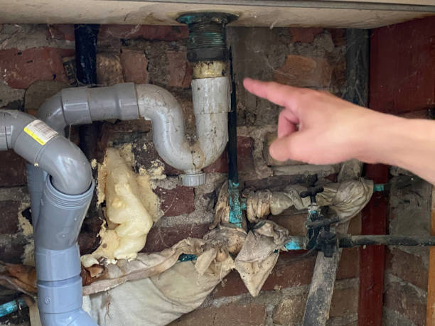 Best Professional water damage repair  in Mill Valley, CA